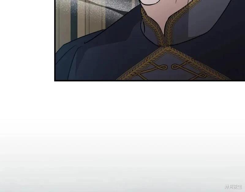 第 205 页