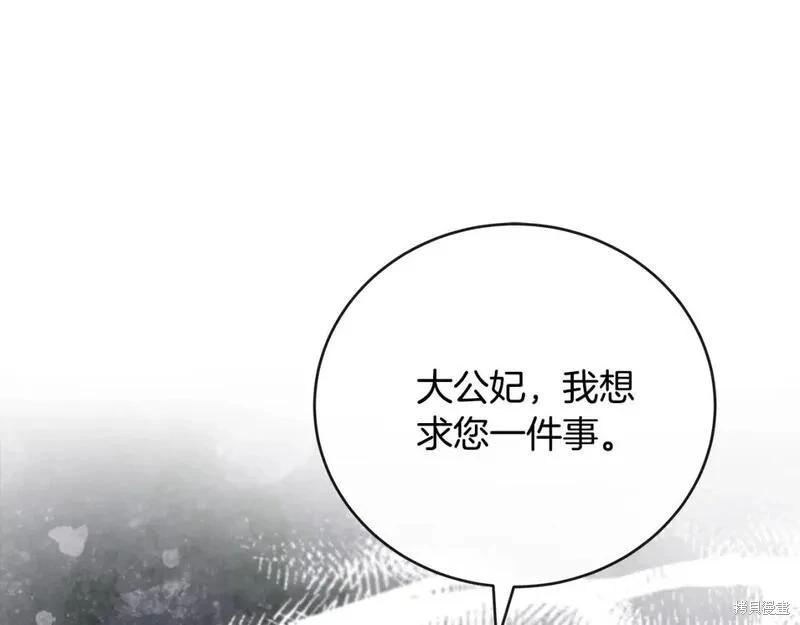 第 243 页