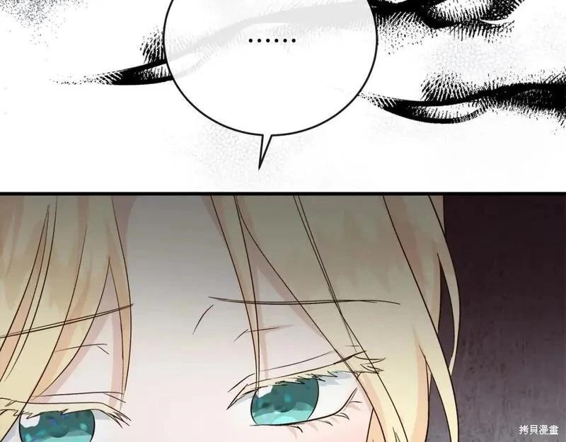 第 111 页