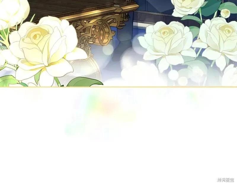 第 137 页