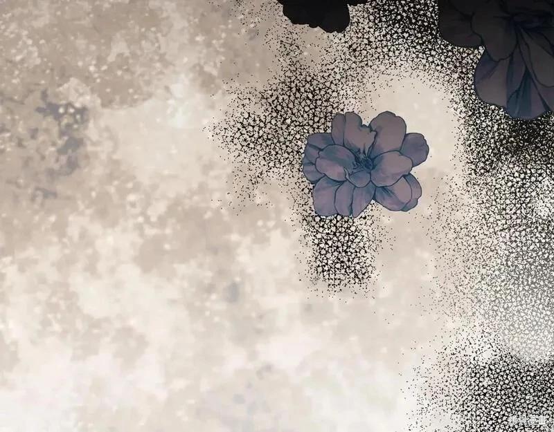 第 213 页