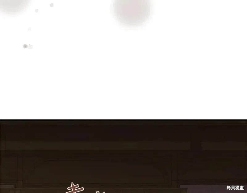 第 207 页