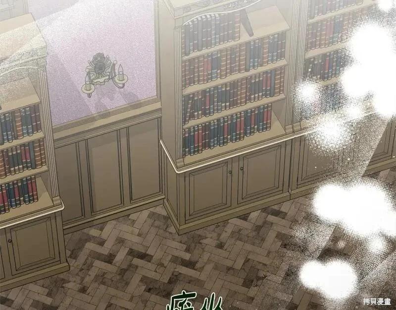 第 213 页
