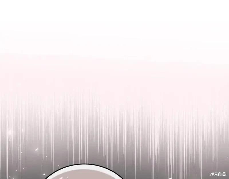 第 219 页