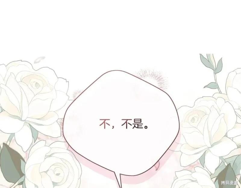 第 232 页