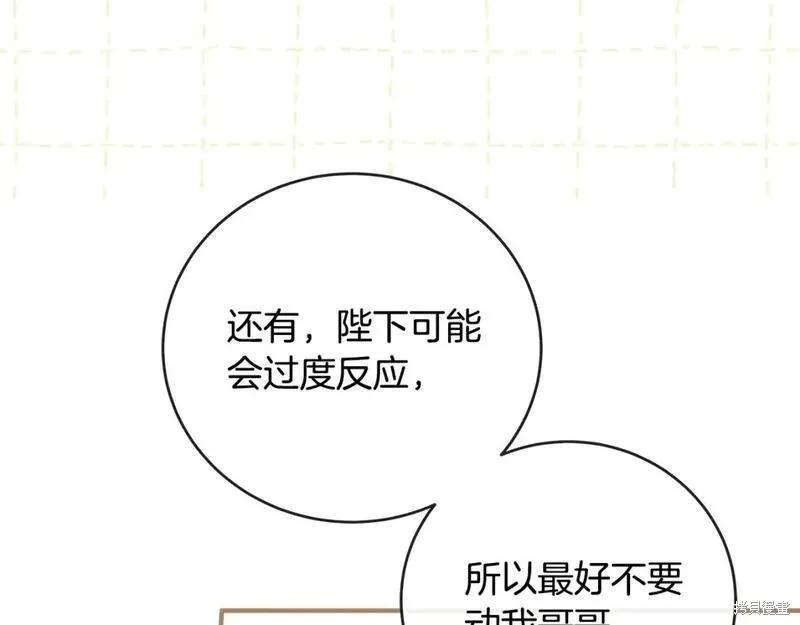 第 161 页