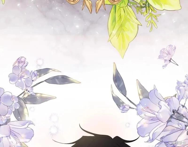 第 234 页