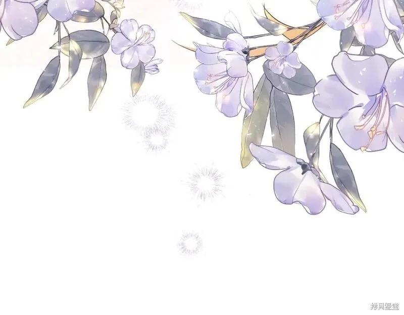 第 238 页
