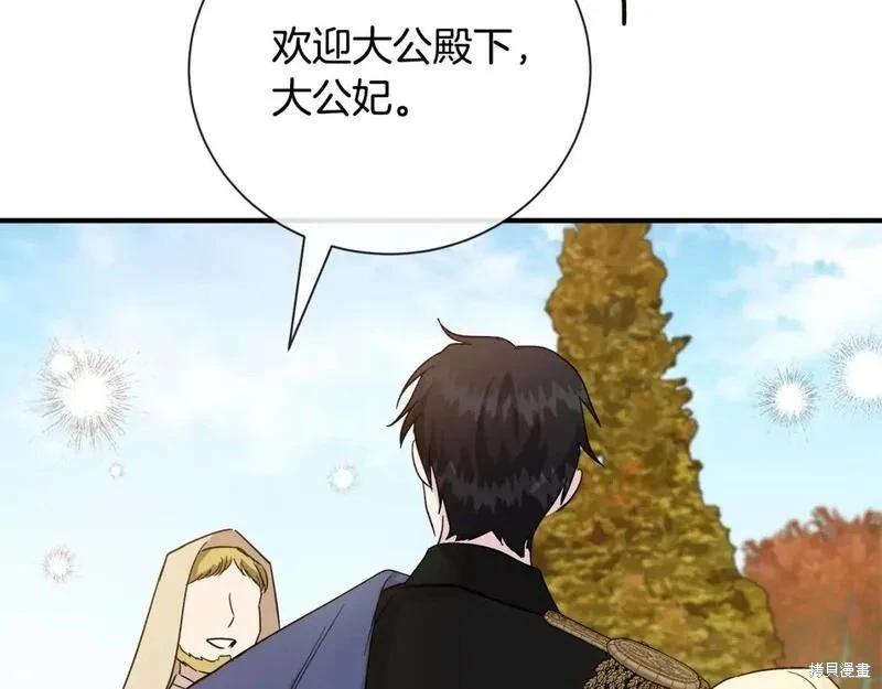 第 196 页