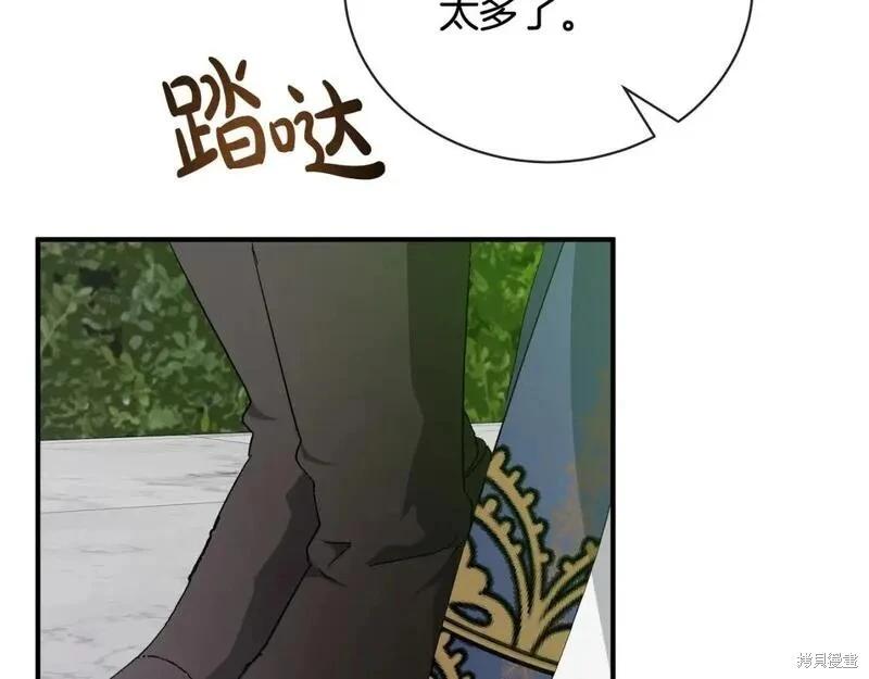 第 204 页
