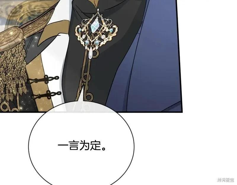 第 215 页