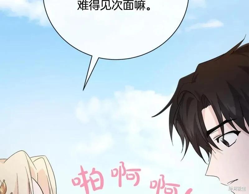 第 217 页