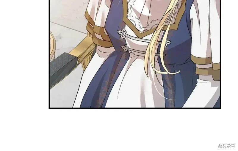 第 238 页