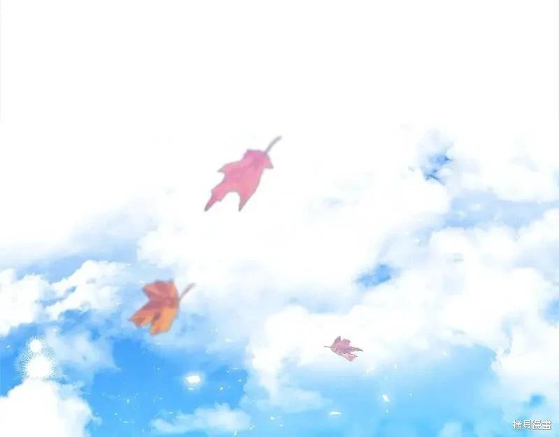 第 116 页
