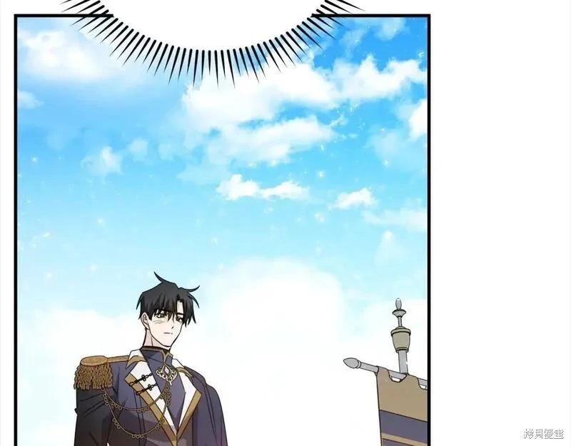 第 161 页