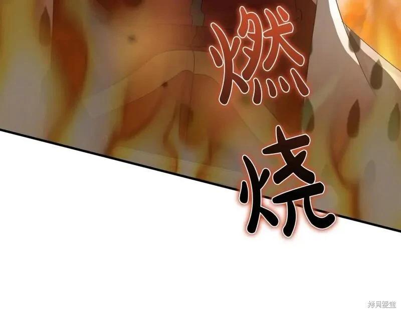 第 202 页