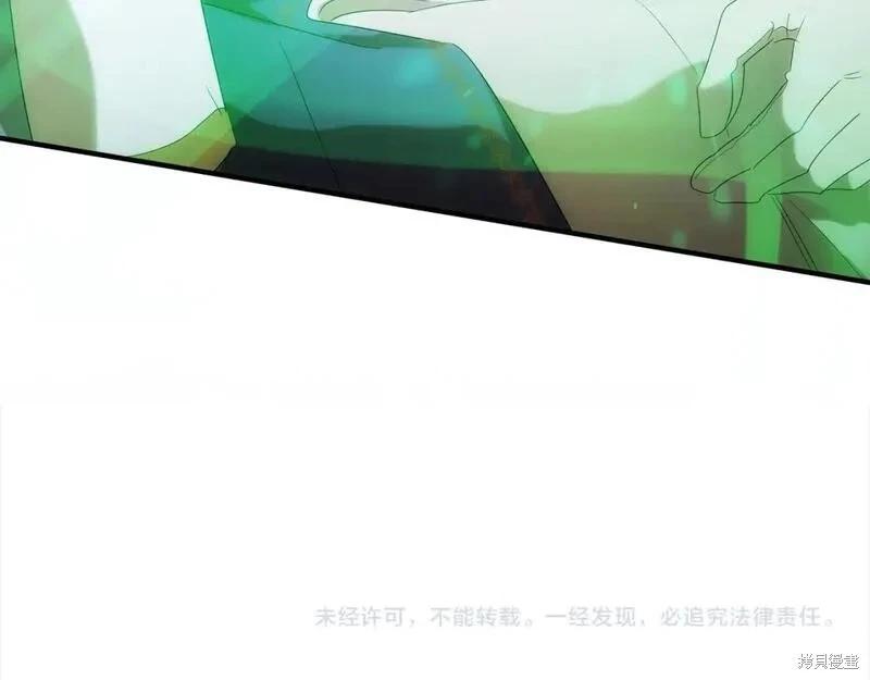 第 221 页
