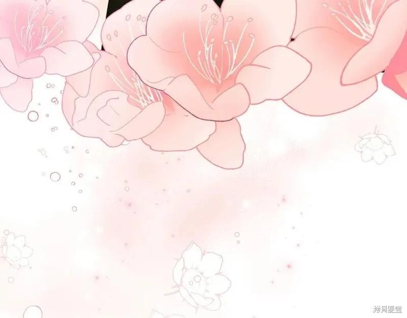 第 231 页