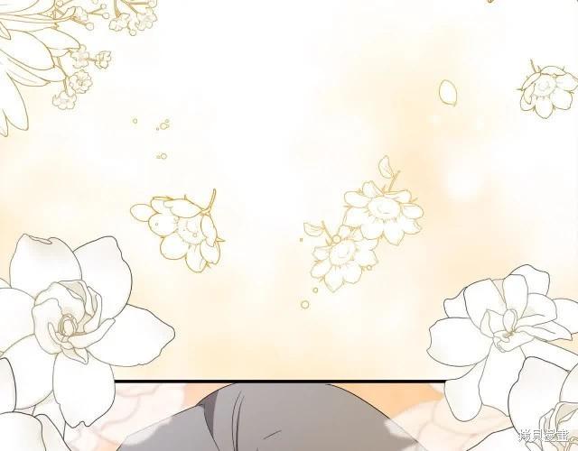 第 197 页