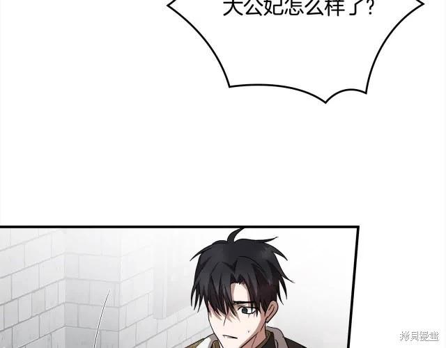 第 204 页
