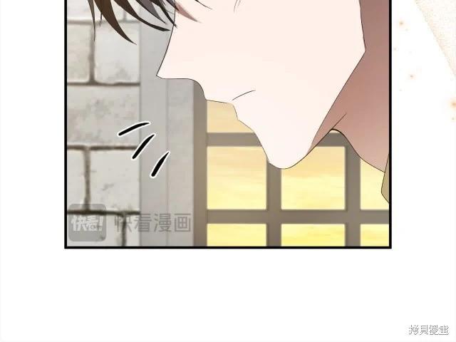 第 219 页