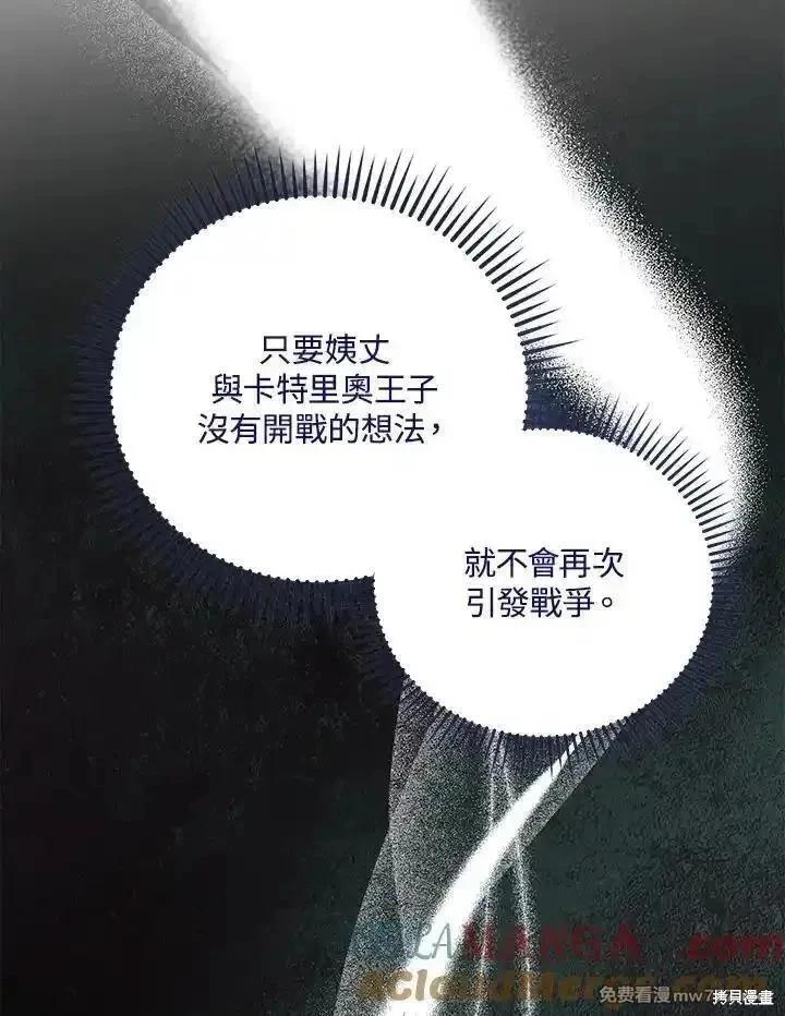 第 101 页