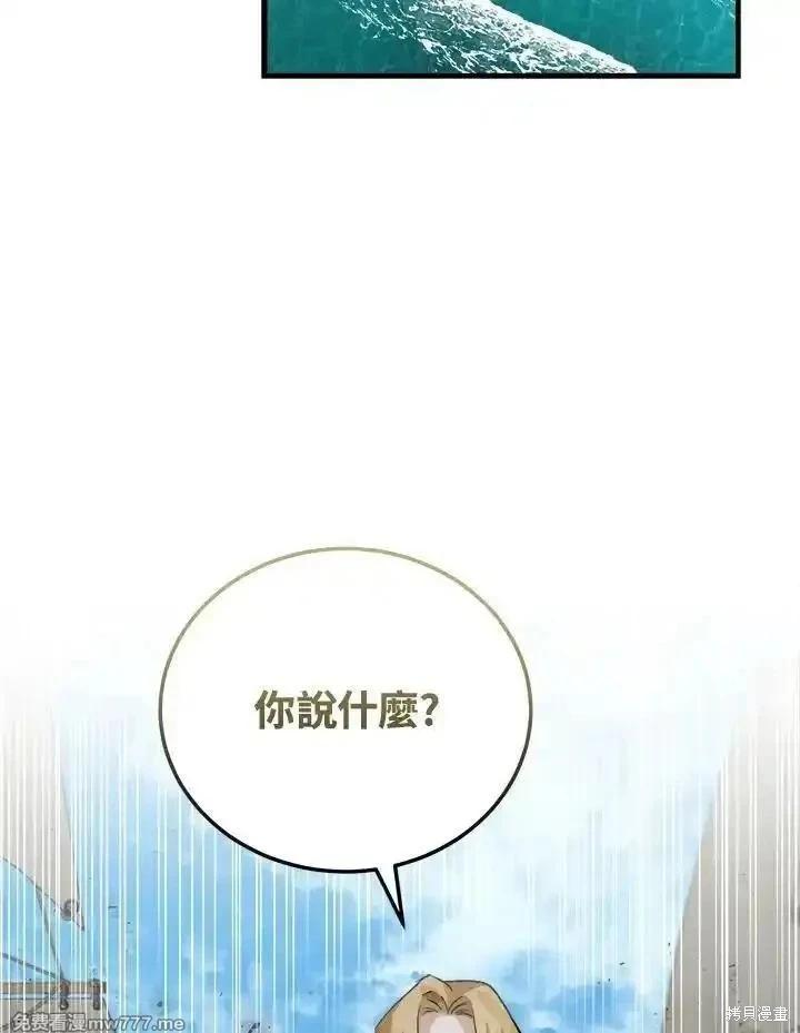 第 119 页