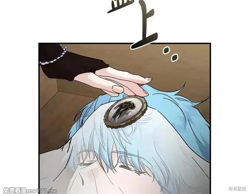 第 146 页