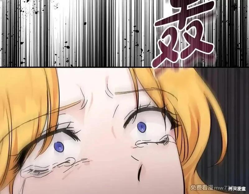 第 97 页