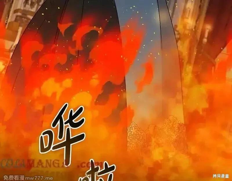 第 121 页