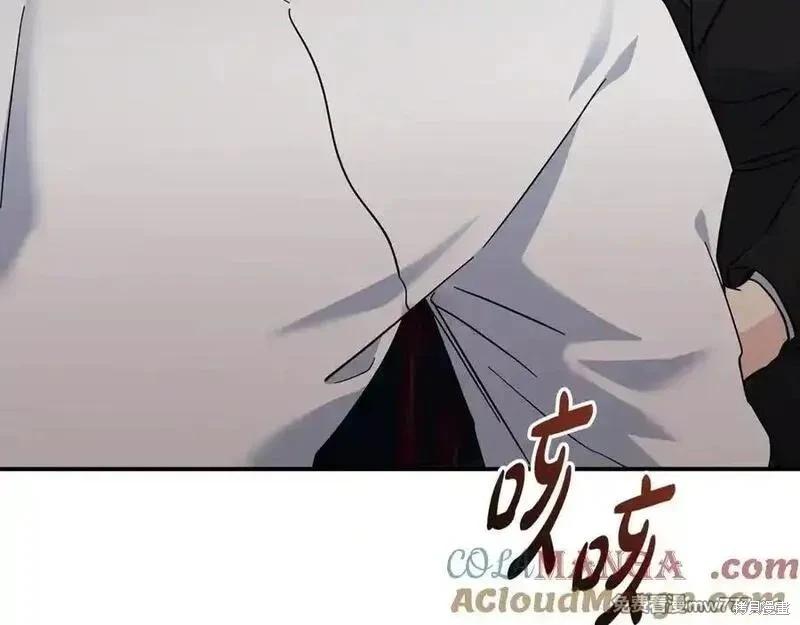 第 205 页