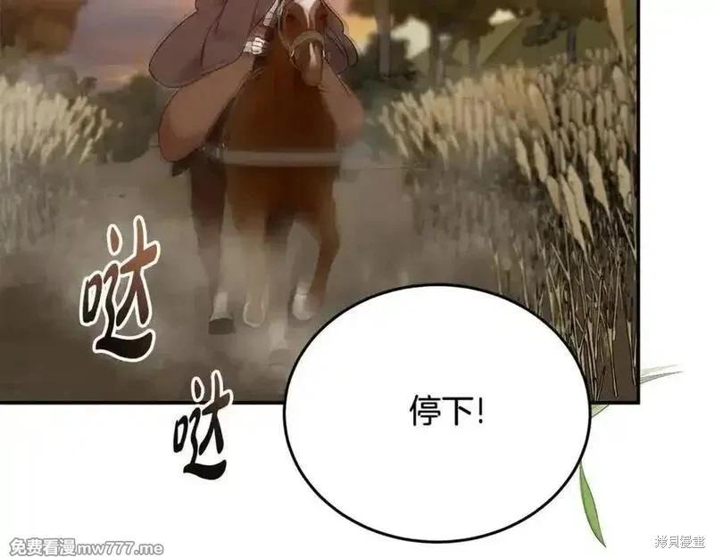 第 208 页