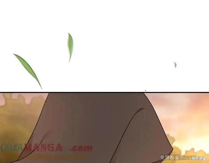 第 209 页