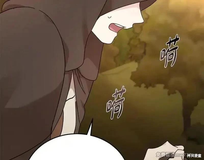 第 210 页