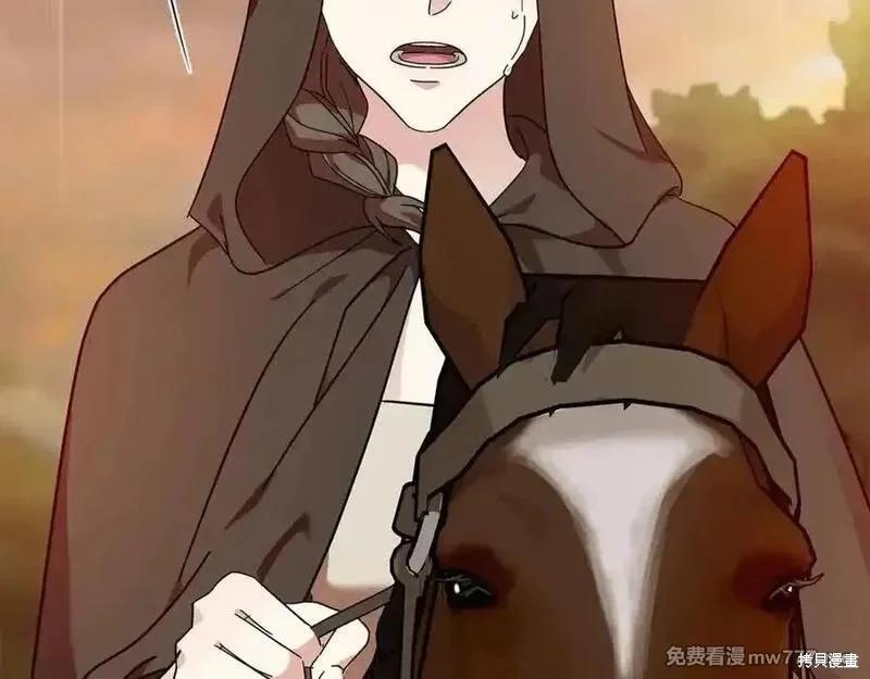 第 216 页