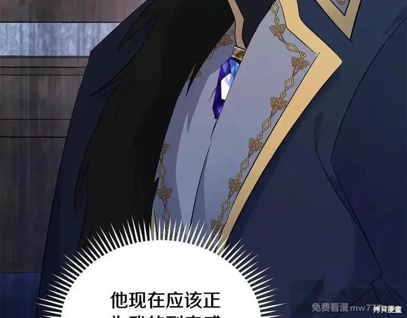 第 113 页