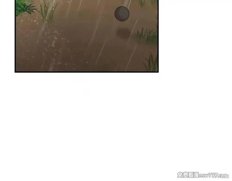 第 178 页