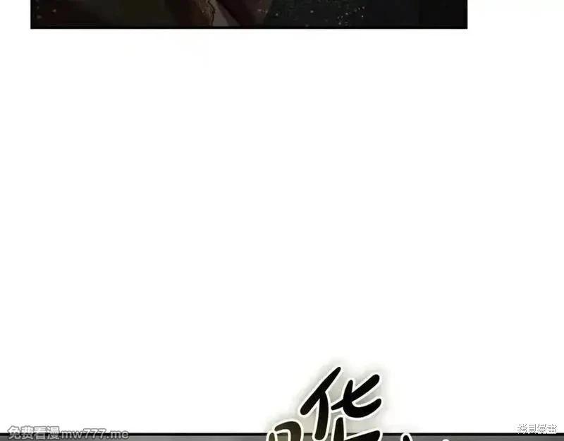 第 204 页