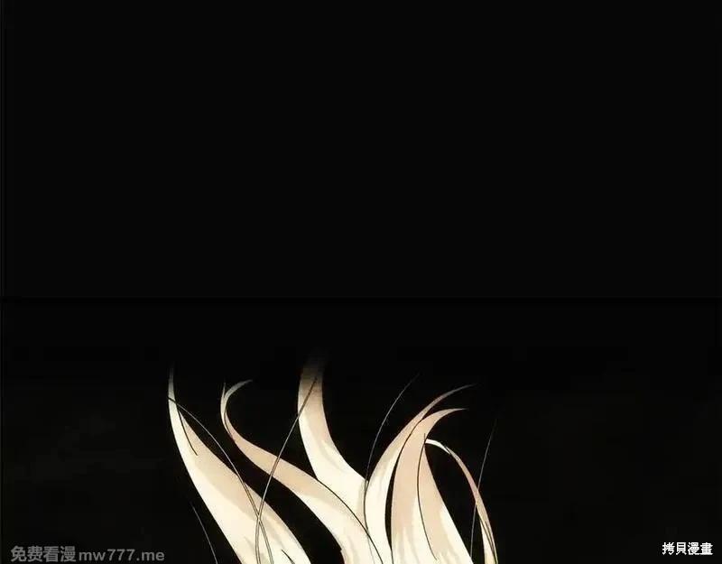 第 207 页