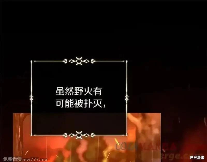 第 113 页