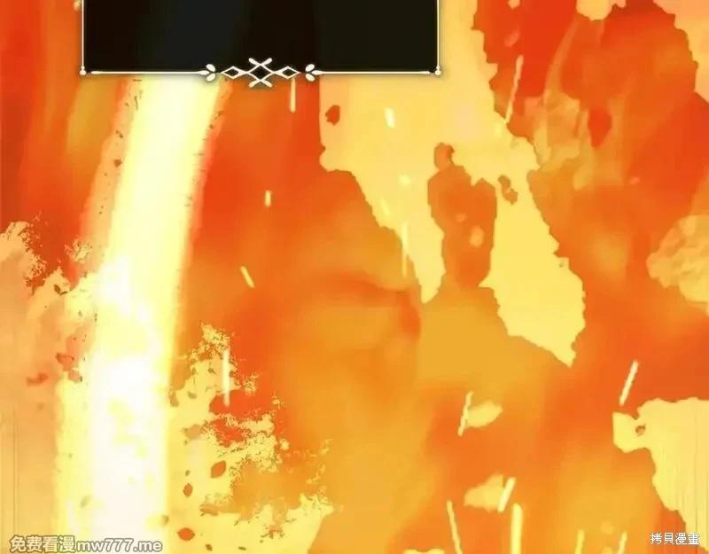 第 118 页
