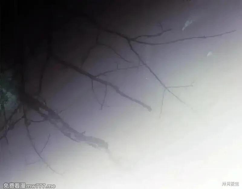 第 163 页