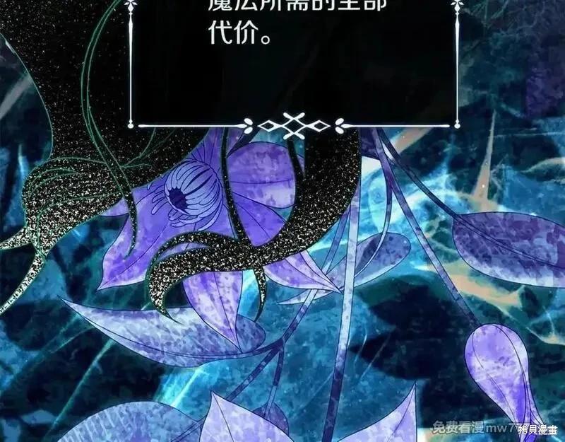 第 116 页