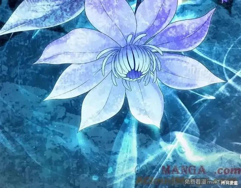 第 117 页