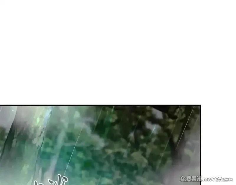 第 146 页