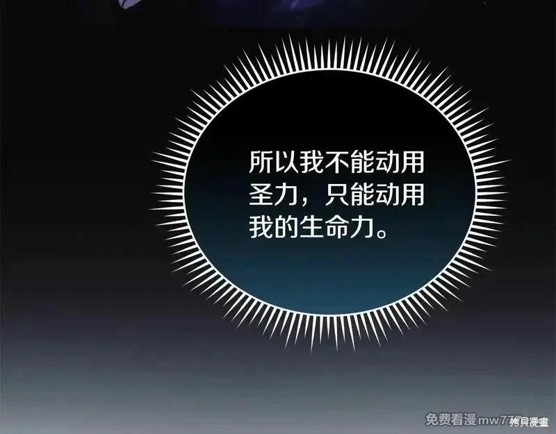 第 205 页