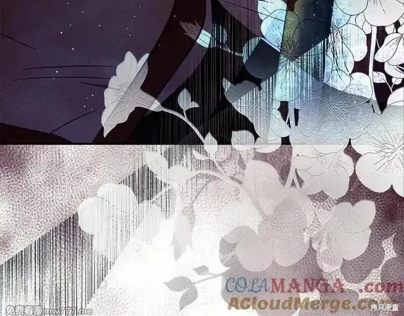 第 205 页