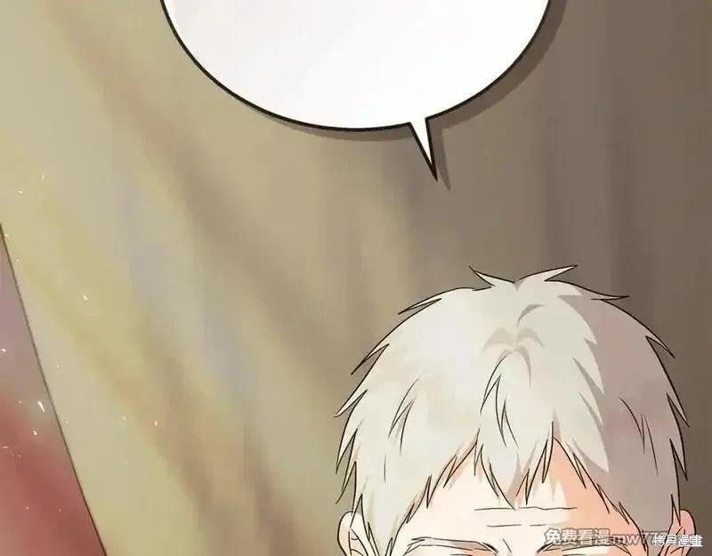 第 146 页
