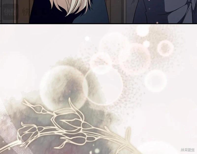 第 205 页