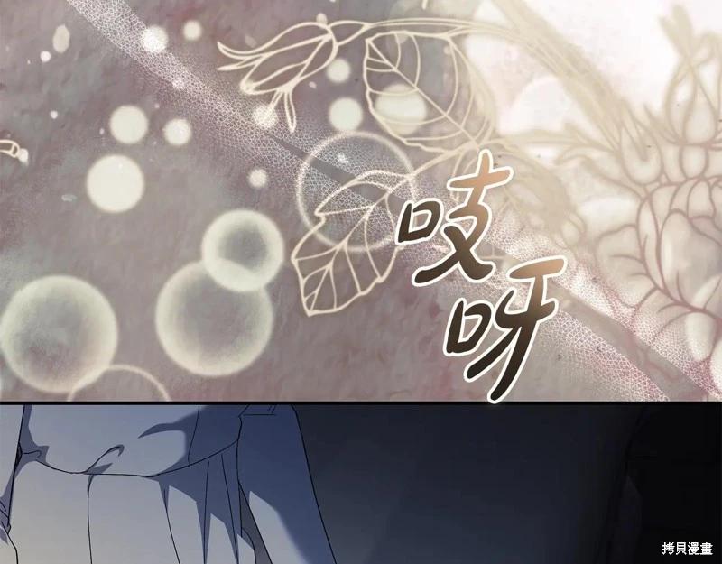 第 206 页